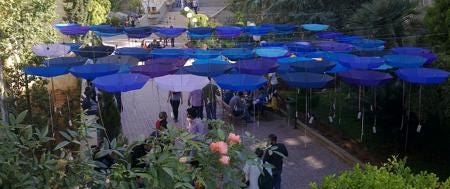 upside down umbrellas
